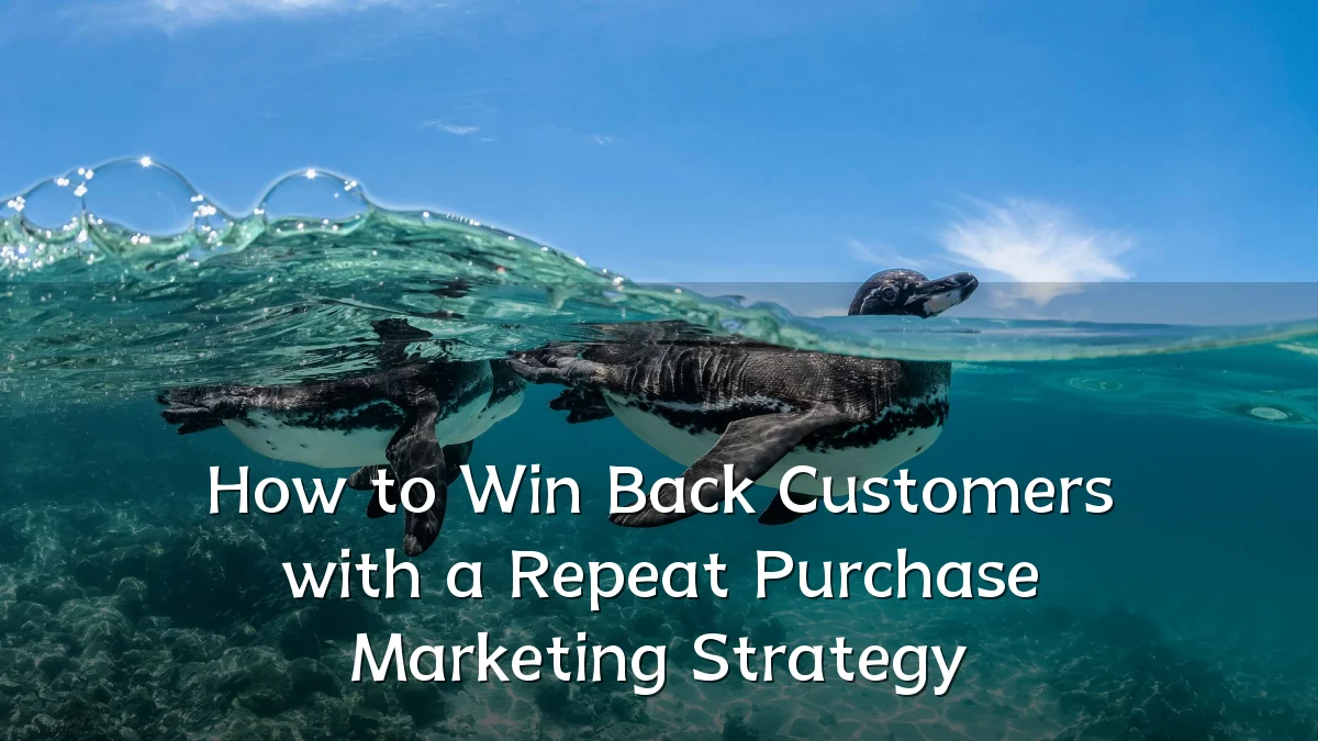 How to Win Back Customers with a Repeat Purchase Marketing Strategy