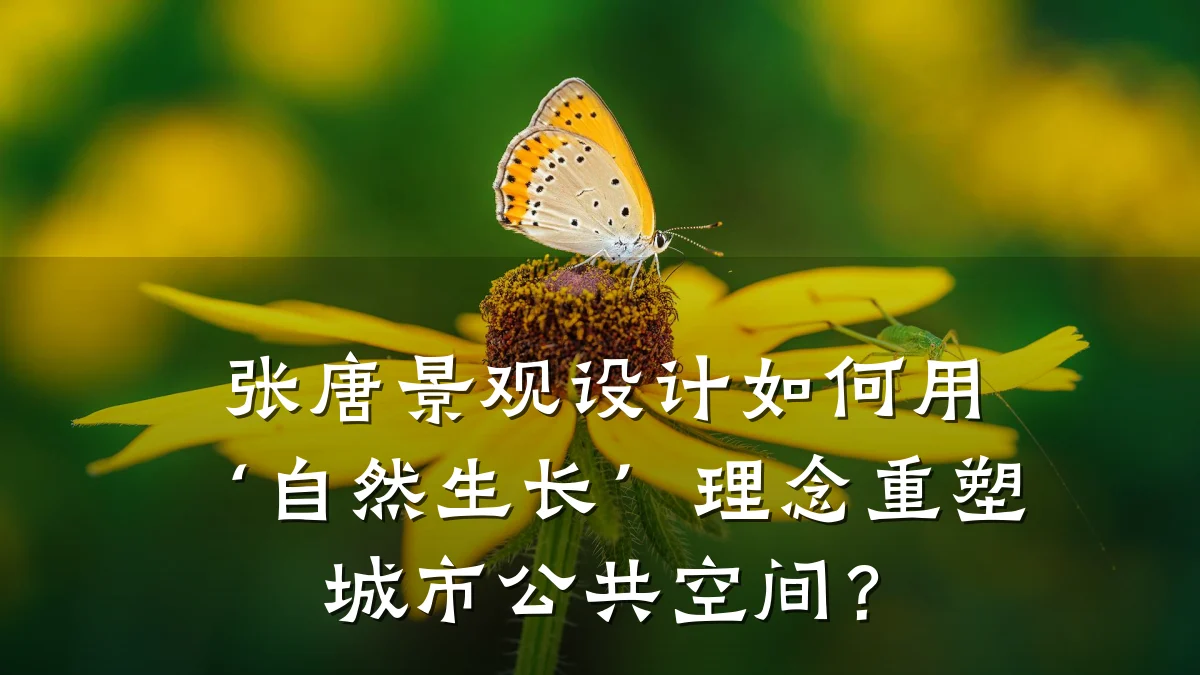 张唐景观设计如何用‘自然生长’理念重塑城市公共空间？