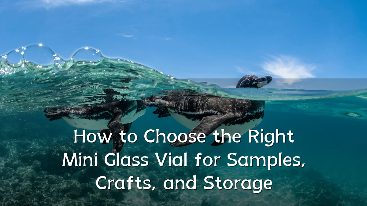 How to Choose the Right Mini Glass Vial for Samples, Crafts, and Storage
