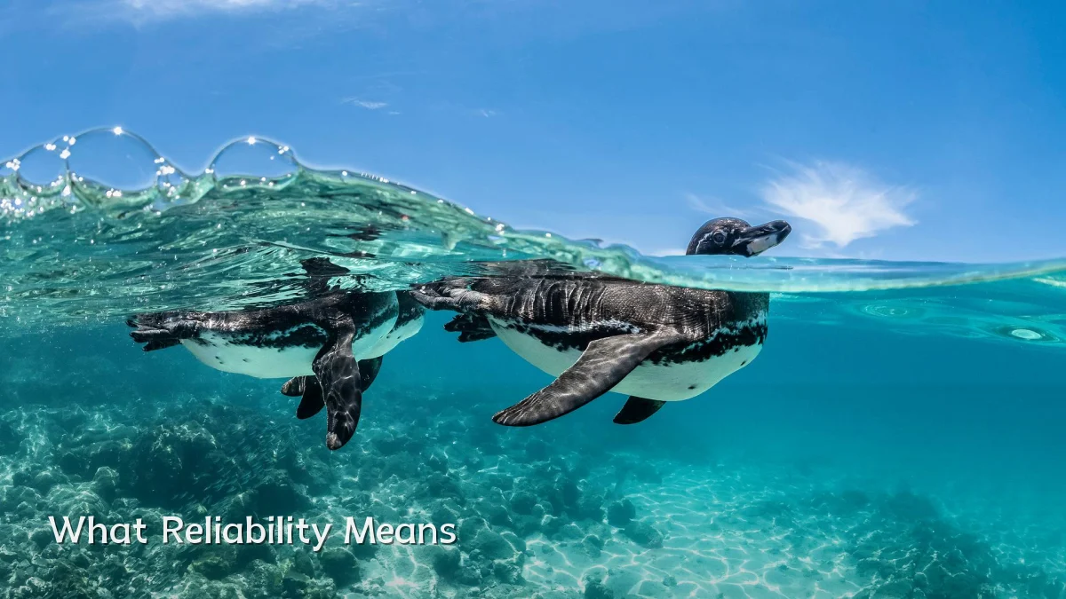 What Reliability Means