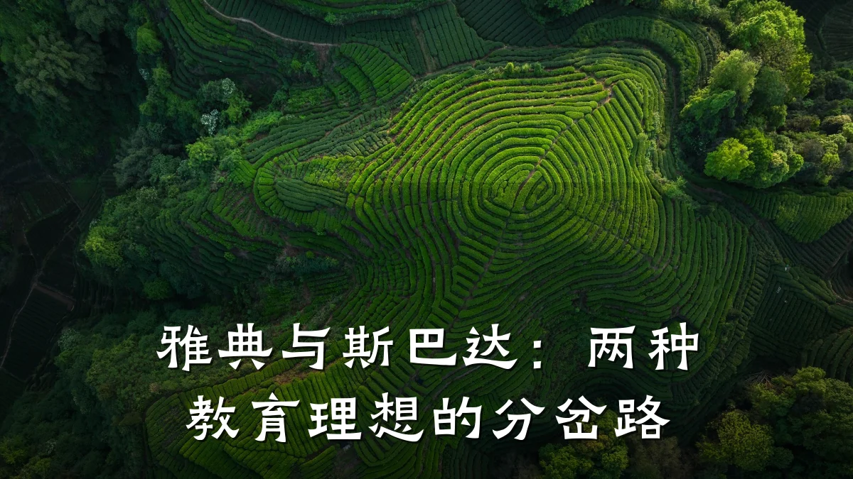 雅典与斯巴达：两种教育理想的分岔路