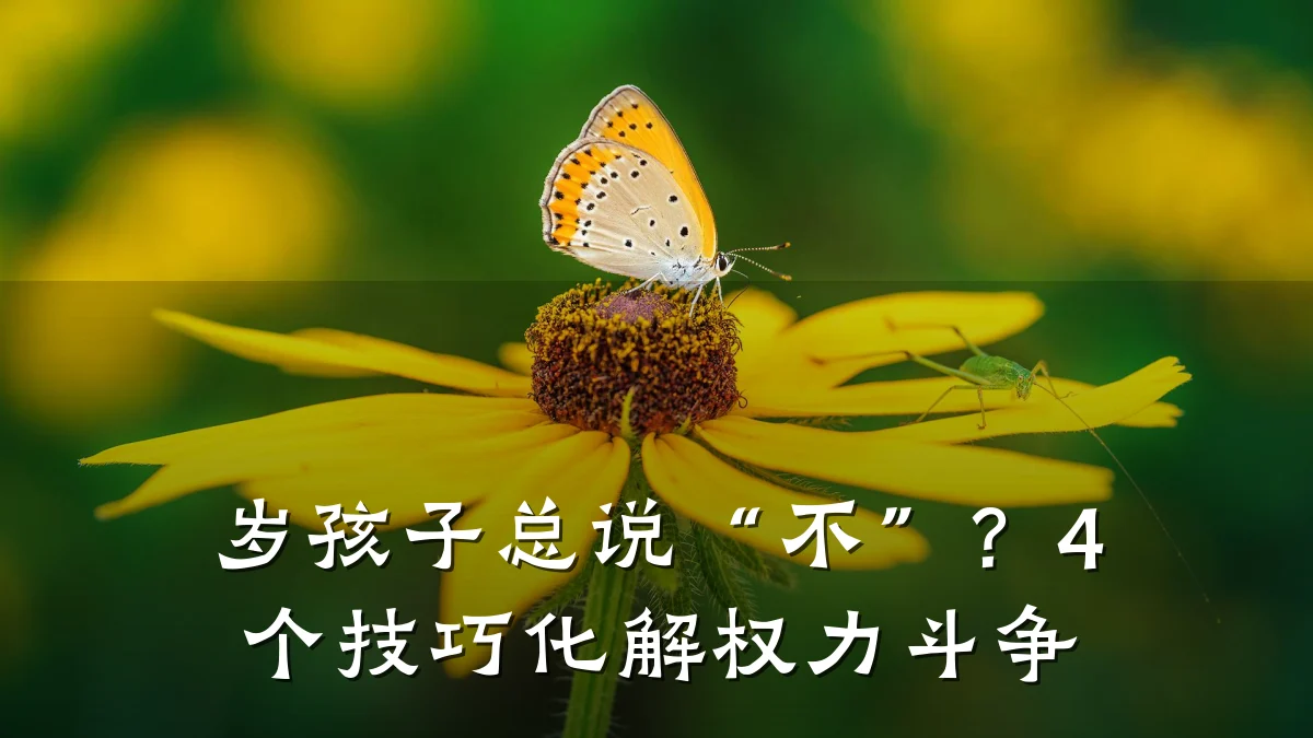 岁孩子总说“不”？4个技巧化解权力斗争