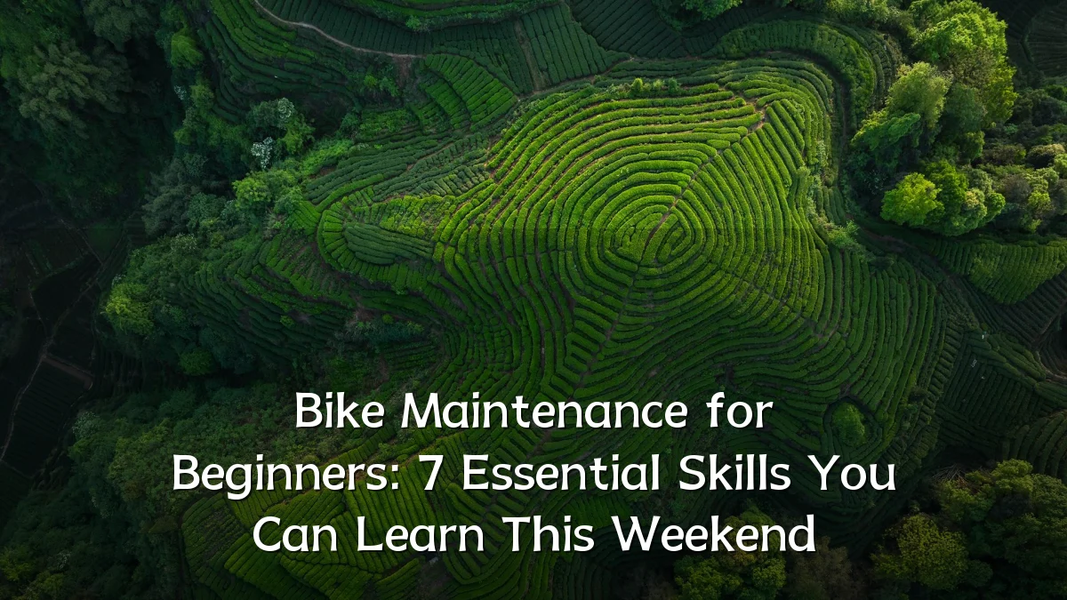 Bike Maintenance for Beginners: 7 Essential Skills You Can Learn This Weekend