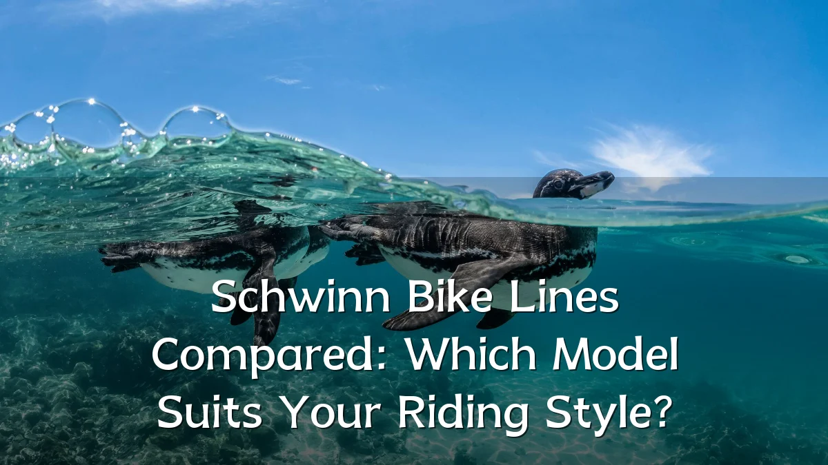 Schwinn Bike Lines Compared: Which Model Suits Your Riding Style?