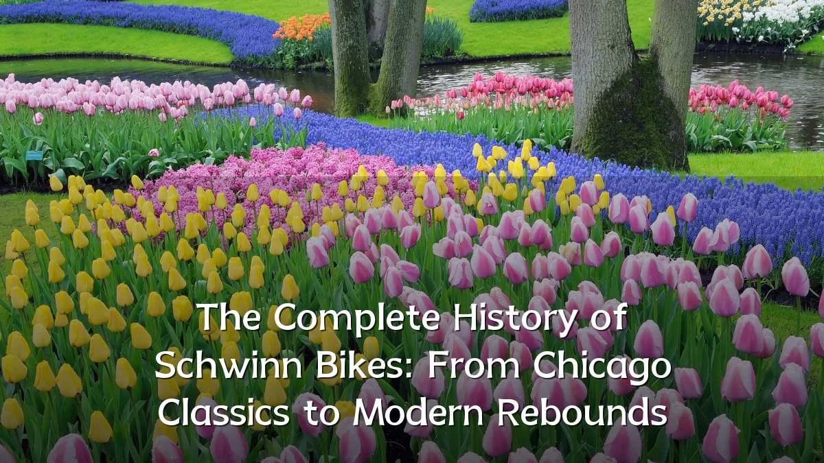 The Complete History of Schwinn Bikes: From Chicago Classics to Modern Rebounds