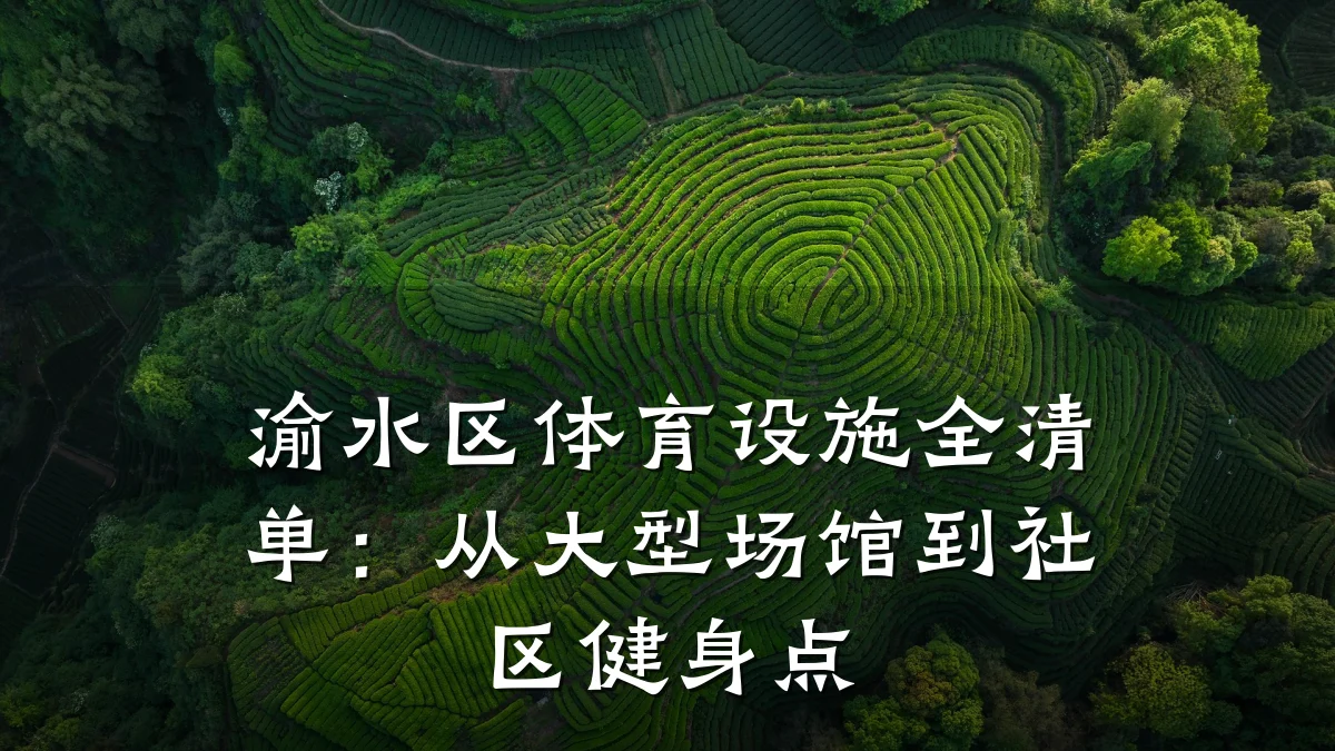 渝水区体育设施全清单:从大型场馆到社区健身点